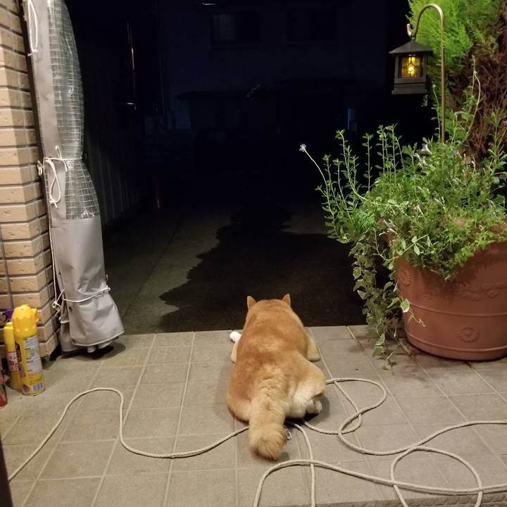 03ca2eff 7ea9 405e 8757 1872e192fbfb 1568544819616