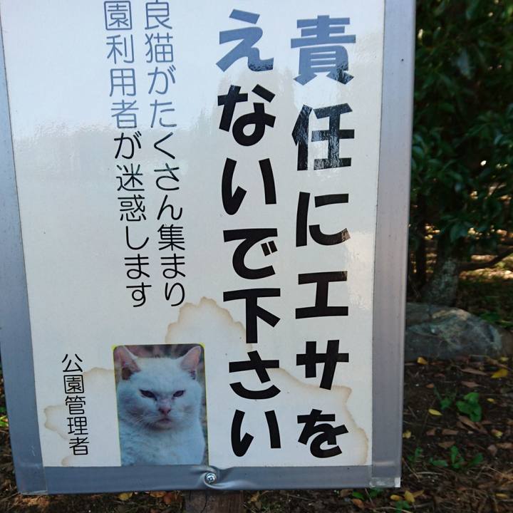 03ca4a5d 6477 4bda 8a8b 83904d6381b0 1634281201662