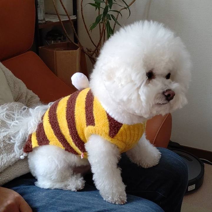 03ca4c96 1ffd 4549 aac1 b4c303b59b30 1648810779520