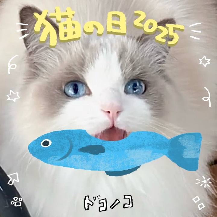 03ca5576 4ef0 4864 b39f f10dbd6e60a7 1740130254756