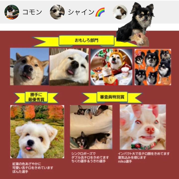 03ca7040 86bf 416f ad40 6c5a03dcb8e7 1667531116960