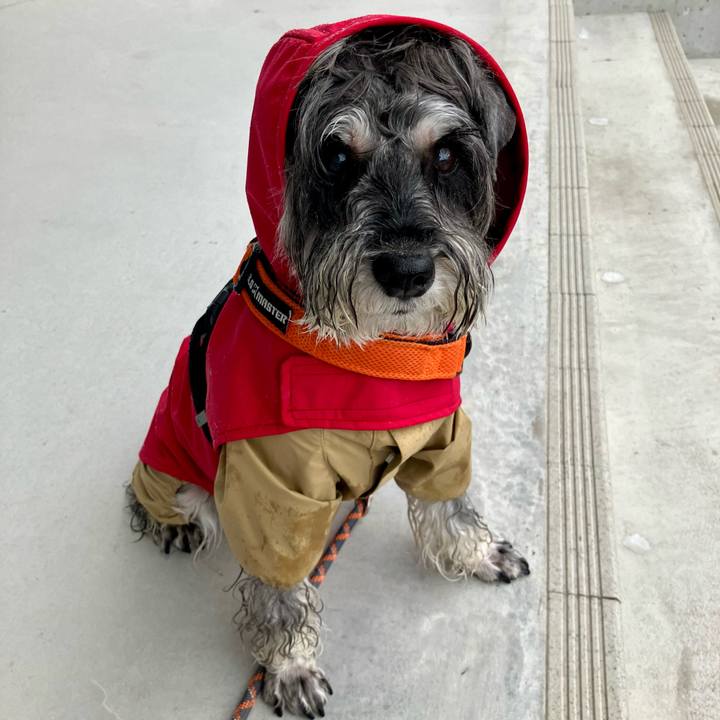 03ca78aa fc98 4860 bc29 1259444233fe 1726957478836