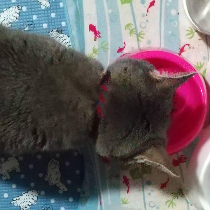 03ca80ea b8f0 4e39 8d2e 639679d5daa7 1633567328473