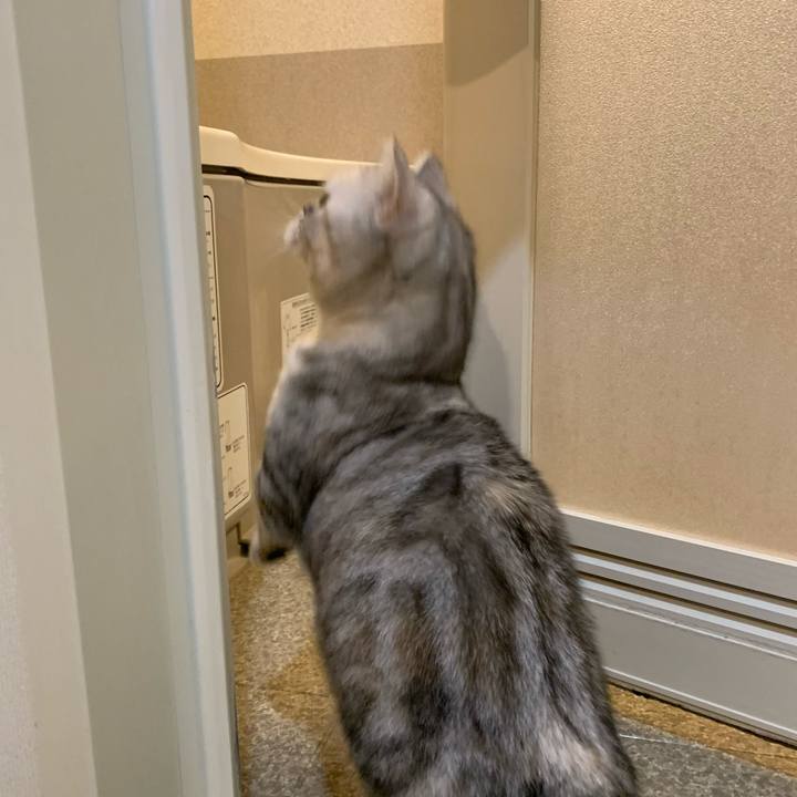 03caa1f7 dad2 4018 b842 a64a0c189f38 1705233072151