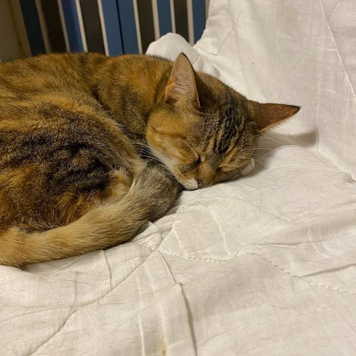 03caa706 b185 4b58 8359 88385e9c088c 1617974063732