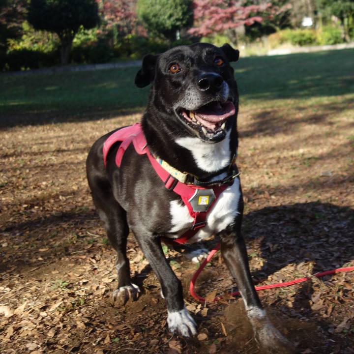 03caa9d2 4014 4142 b7e1 c8a0b18981f4 1699059881300