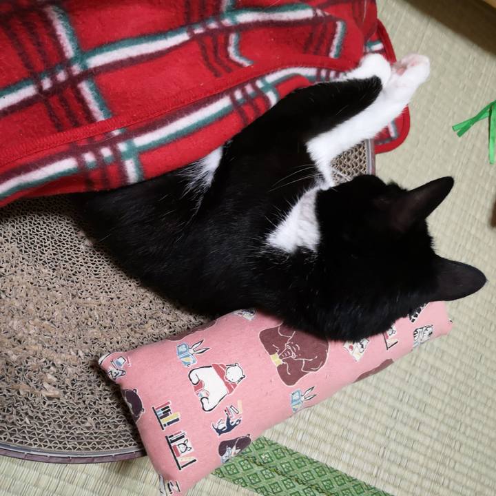 03cabf58 8c5d 4e47 9c2a 1fea9f80a5b2 1662696129559