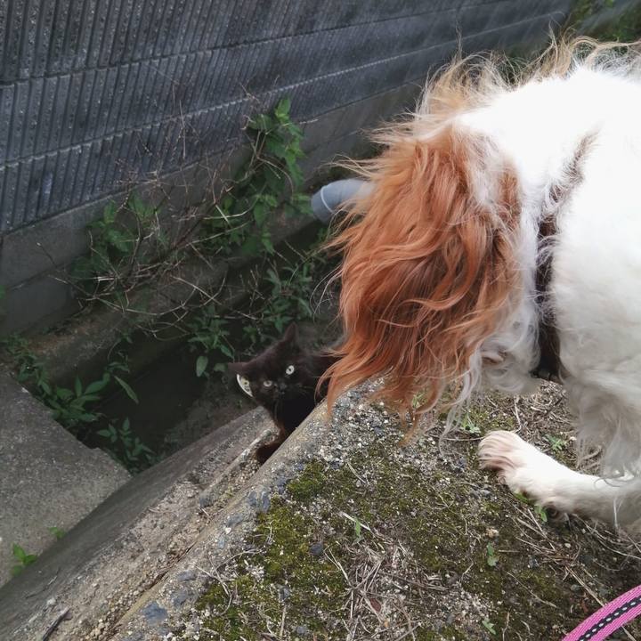 03caf4f6 75bf 42a9 b64e 146bf7c5447a 1621986176625