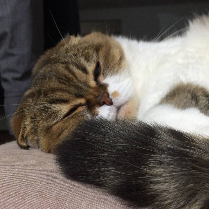 03cb0aa0 7075 4dd7 ac3f 72595f7489f7 1510319217933