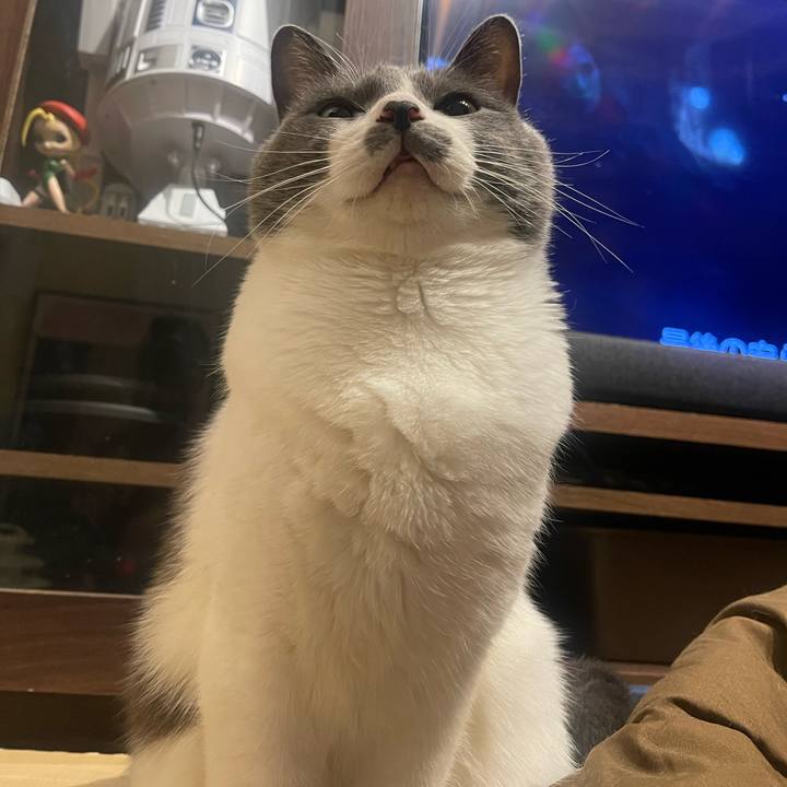 03cb0da7 7f7d 4339 b02d cddf61a5693e 1702471972506