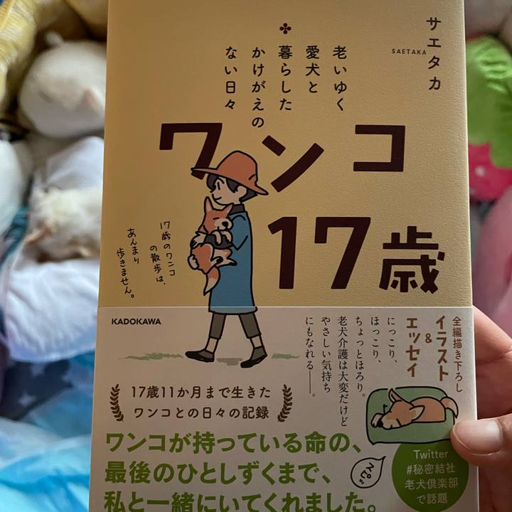 03cb1157 765c 461e b34a 24eee076b55a 1686038344552