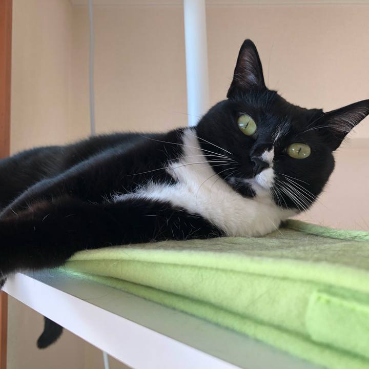 03cb5a61 8aa9 4710 9549 587145bb6d9f 1510436823585