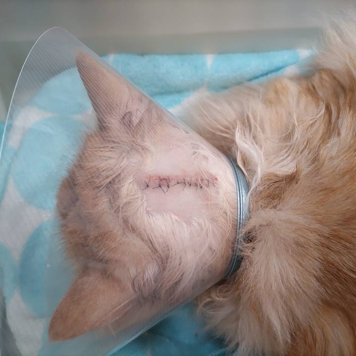 03cb96ed 5e7d 453e 80af 463ed4334a1d 1682330427684