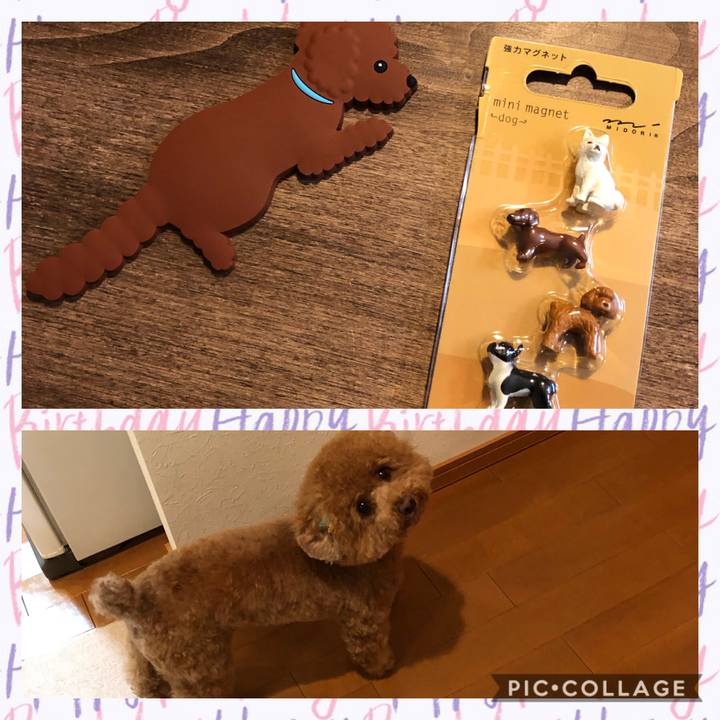 03cba574 d0e4 4e64 8a0a a87c674b402f 1592112640179