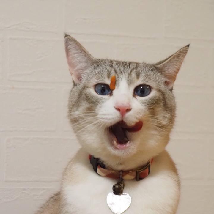 03cbae4a 1d85 4782 a220 8fec089d4e16 1612584513103