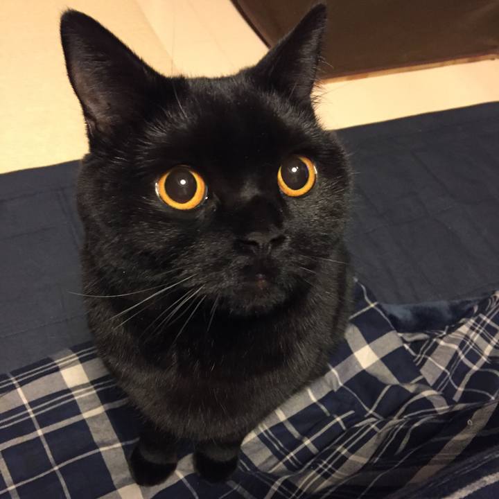 03cc281e b4ba 43ab bed5 96743a3e2350 1519218240415