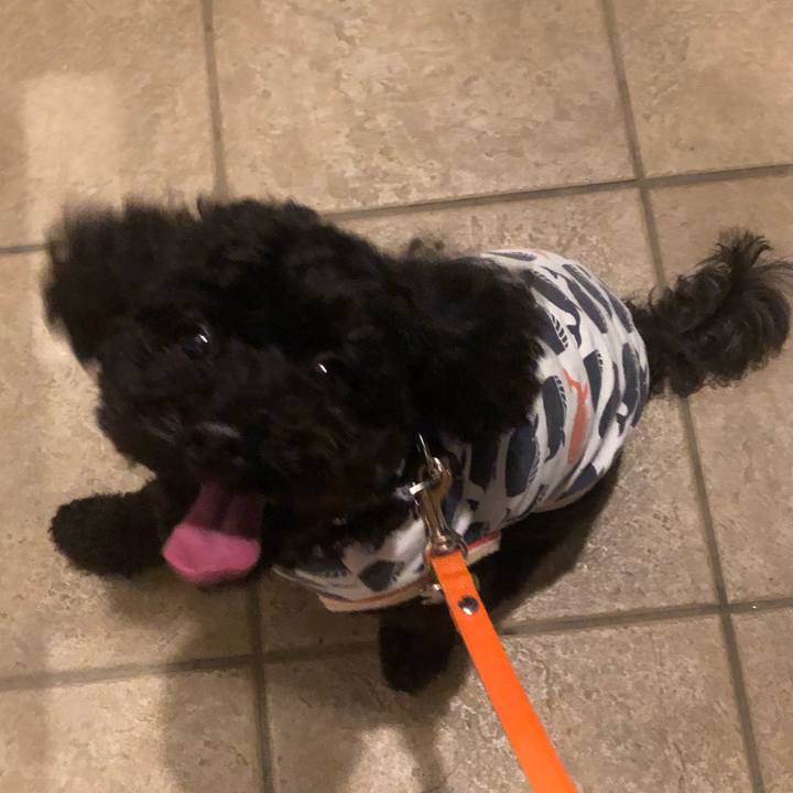 03cc6292 ae64 468c 8c17 879aed908b3b 1594238115458