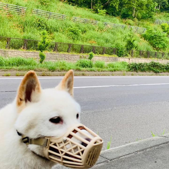 03cc72e0 0580 4897 9ff0 178d6cf201b2 1564955226105