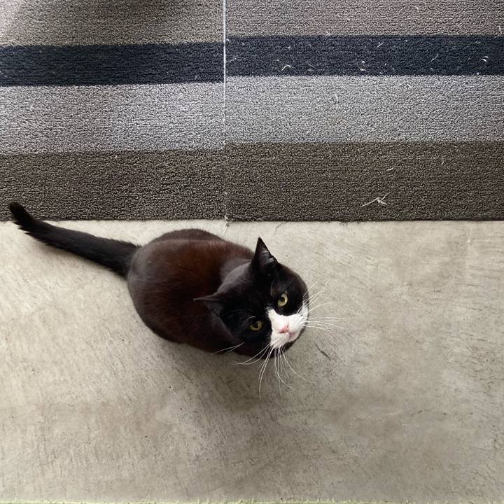 03cc78d0 3b8b 4721 9bc3 8d9645d2b2d0 1614995075555