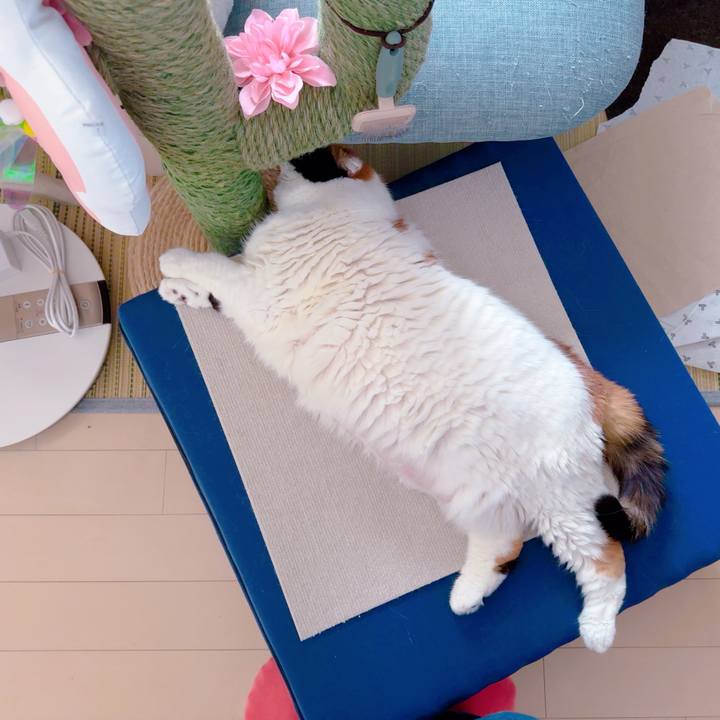 03ccdd97 039e 425b 912a 4bfc3c28538a 1713563368741