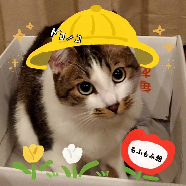 03ccdfe0 65b3 4650 a9f3 6453235a08a2 1712200860429