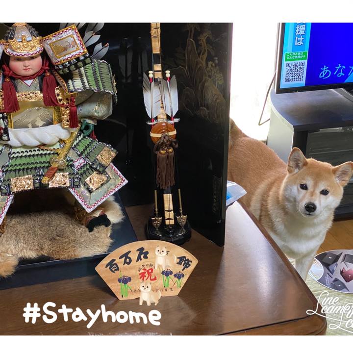 03cce6e3 3268 4184 a23d d49086f5be92 1587795084132