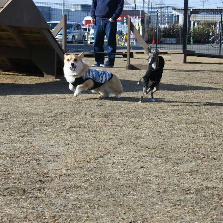 03cd11a3 f5a0 4db0 ab79 3332a10c6b3a 1521975980648