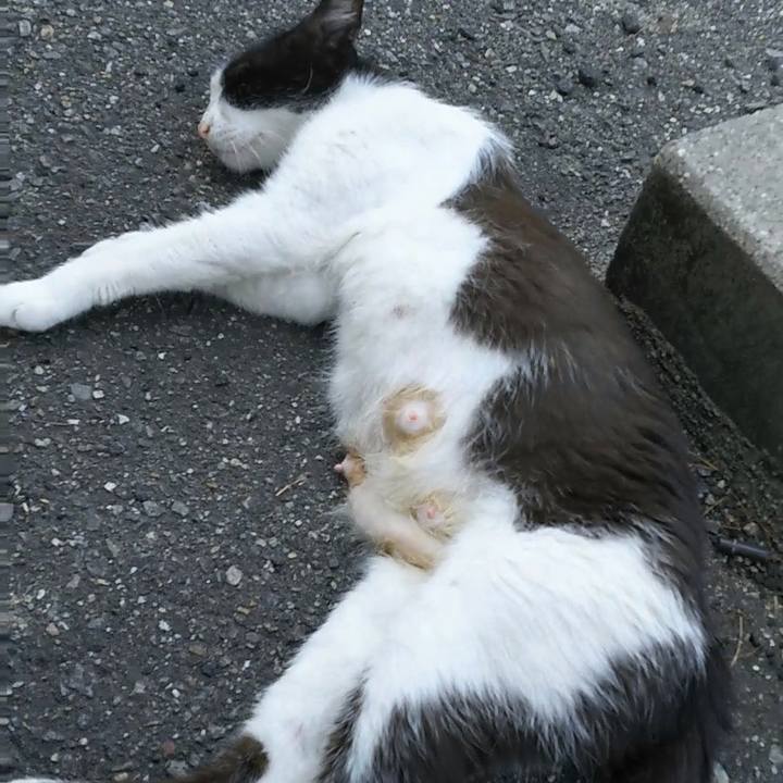 03cd22c8 763d 4db1 9df3 0d0cf87f0713 1530422216227