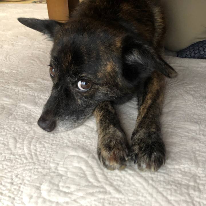 03cd3308 7423 4a42 8d3f 9964db3211af 1564271133653