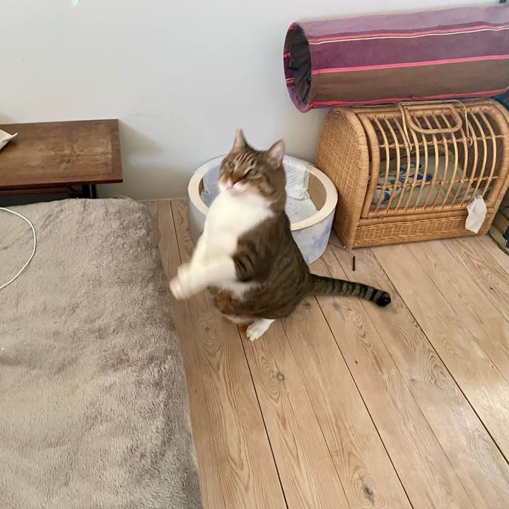 03cd6a0a e0b5 45e8 b902 18047d6eba92 1763295397783