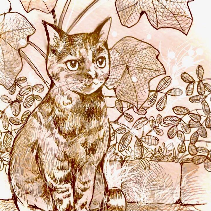 03cd6ed2 8aaa 4880 a48b 68220abc1e58 1631267073664