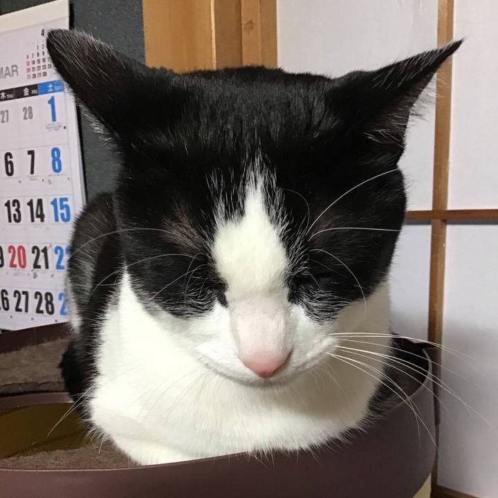 03cda26f 639d 4160 ba0a dd1f886360f4 1741771044514