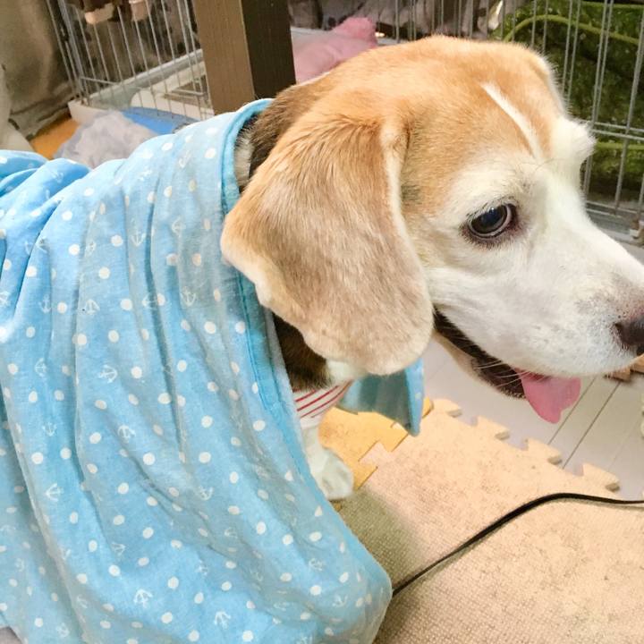 03cdb2dc 63c1 4fa2 90e3 0db129581d3b 1567577745073