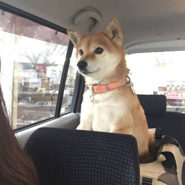 03cdbb80 d84b 40a2 9069 44e180fe2e32 1548933900810