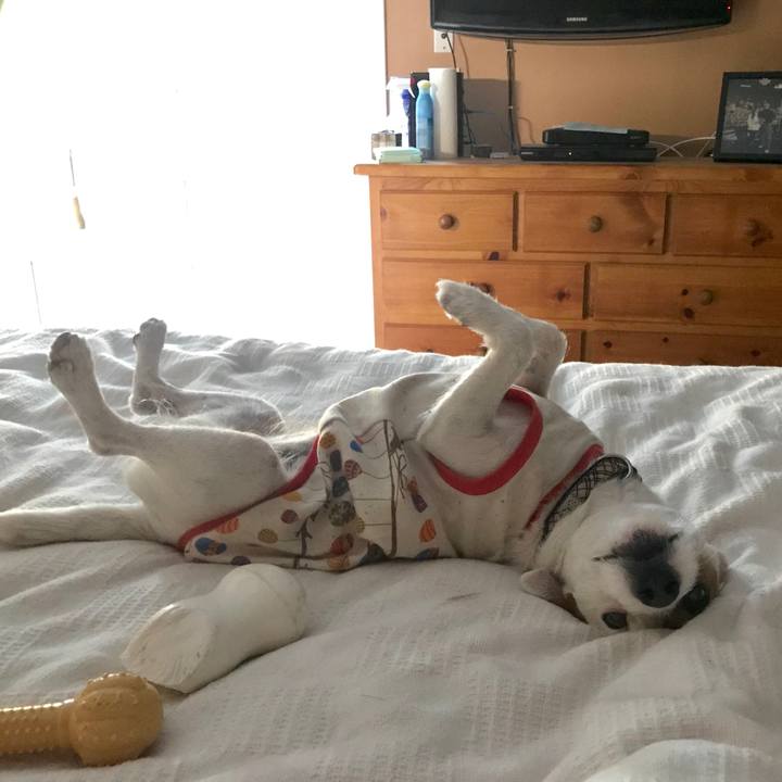 03cdbe4d 5121 487c 8c37 a3b60fcda33f 1522845046091