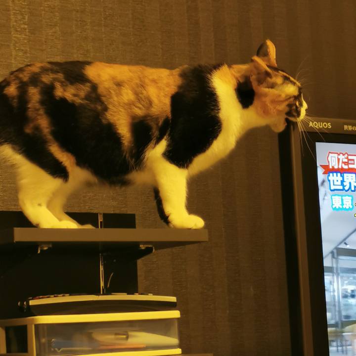 03cde120 9777 4e64 9c30 28e047f5ca50 1622693588344