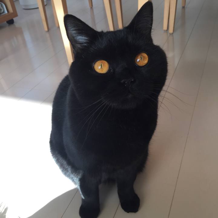 03cdfafc 8fa2 4794 a135 3fc8d103af99 1520667907932