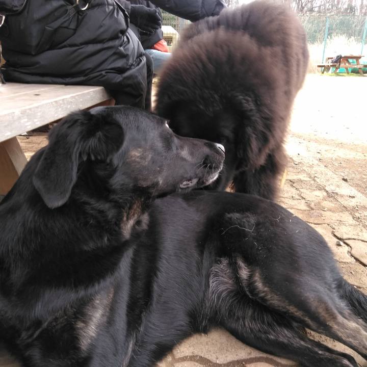 03ce3ab5 62dc 44d7 b8be c05c1507e62c 1578798209707