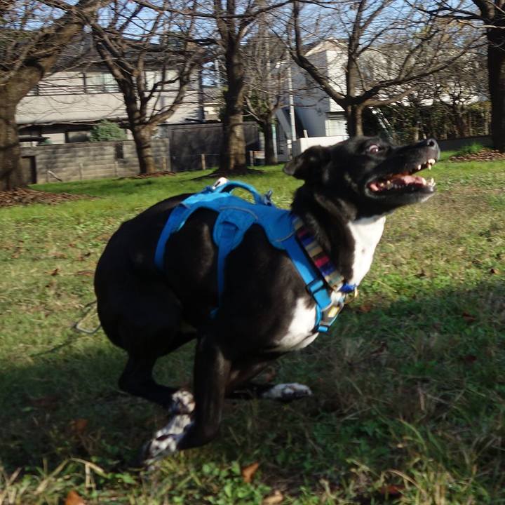 03ce4c5c 4ca7 4526 9019 da3e1b36797f 1635987360327