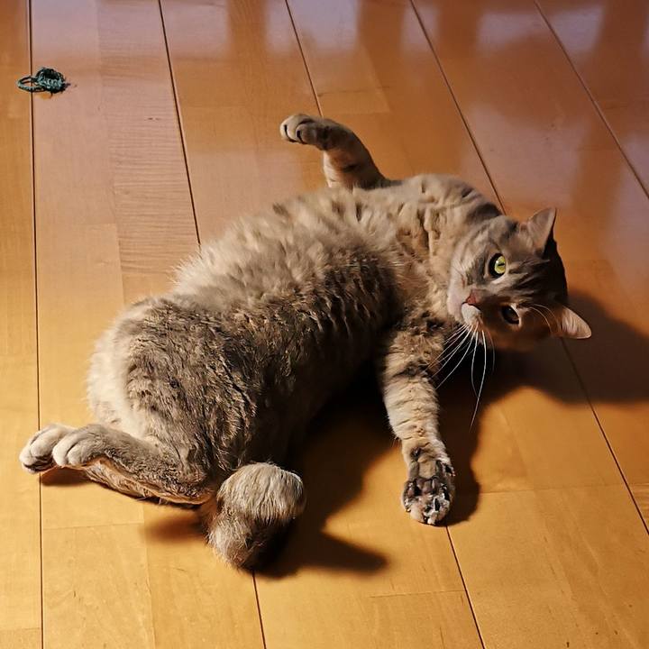 03ce51b0 fe84 4e83 b223 7a8366649986 1586248258787