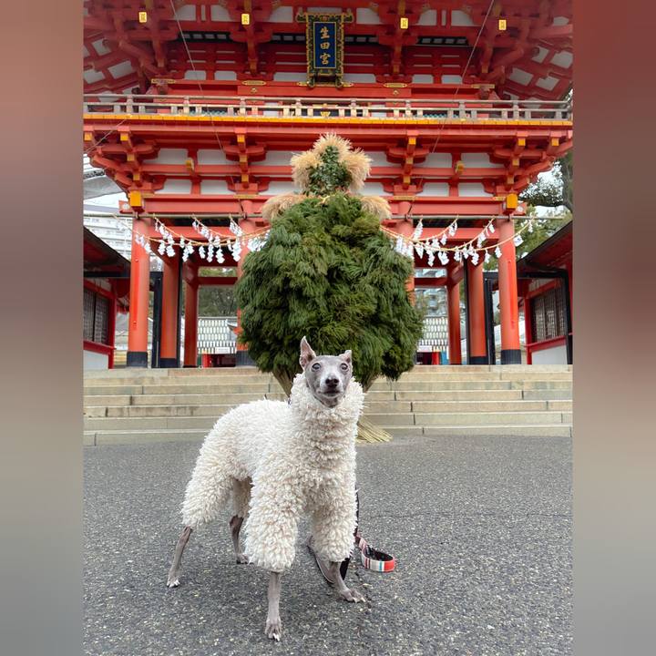 03ce5ee9 b620 4c51 a6b8 8a55b0f21b2d 1767338741845