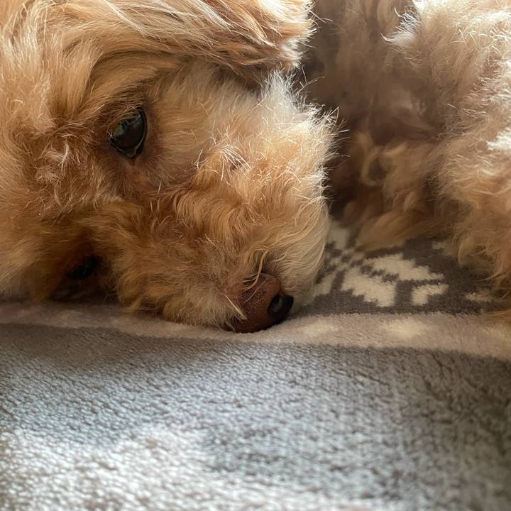 03ce920e a81c 450c aaf4 159c5d020a53 1606061686732