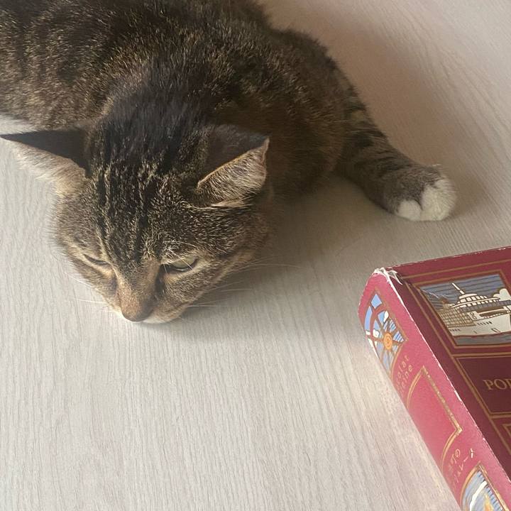 03cf0dcc 1619 441e 9178 3e7c1587f618 1758059574437