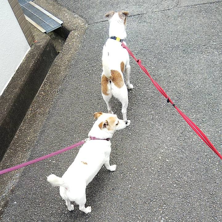 03cf0ddb e72f 48e4 91e6 f9e77851039b 1596508731088