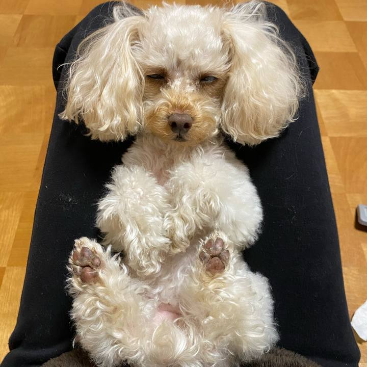 03cf13a2 67dd 4538 b796 f72d0c2eb67b 1609163113114