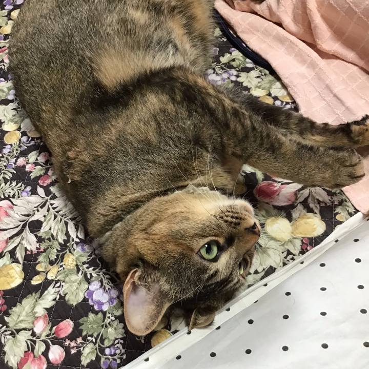 03cf1f71 0a9d 4c35 b5d3 ed35c79c2966 1647651503131