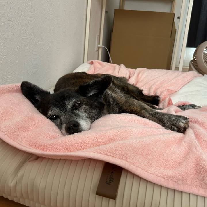 03cf52b2 40b8 45f1 acab 796c5166c142 1718840801230