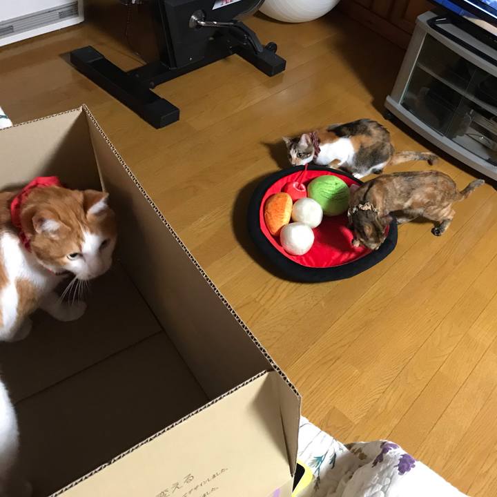 03cf8bca 1693 48e4 8655 248caebccb83 1625228223613