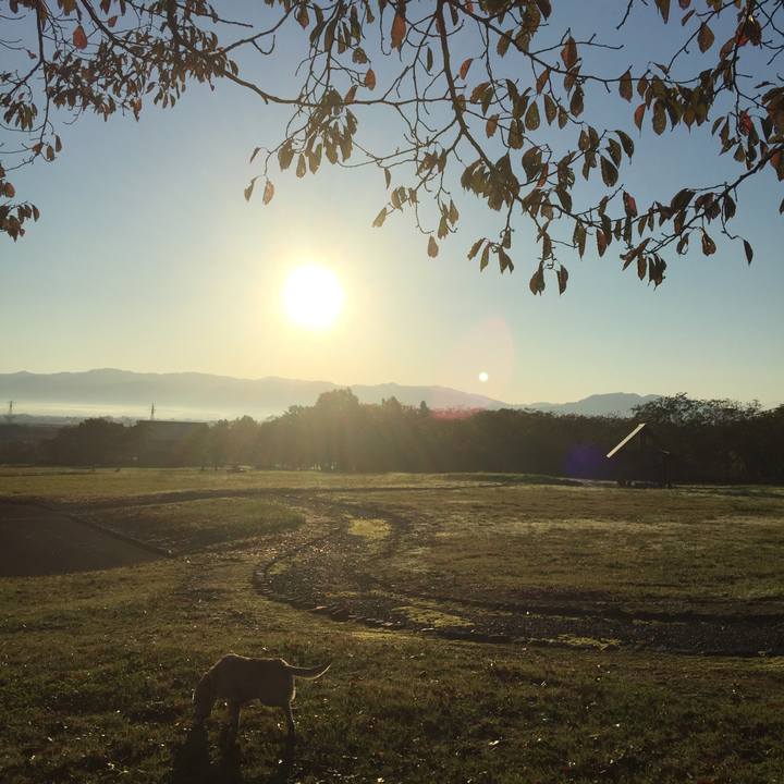 03cfe9bd 9fee 45e7 a71b 3aa0a710d52a 1541285959203