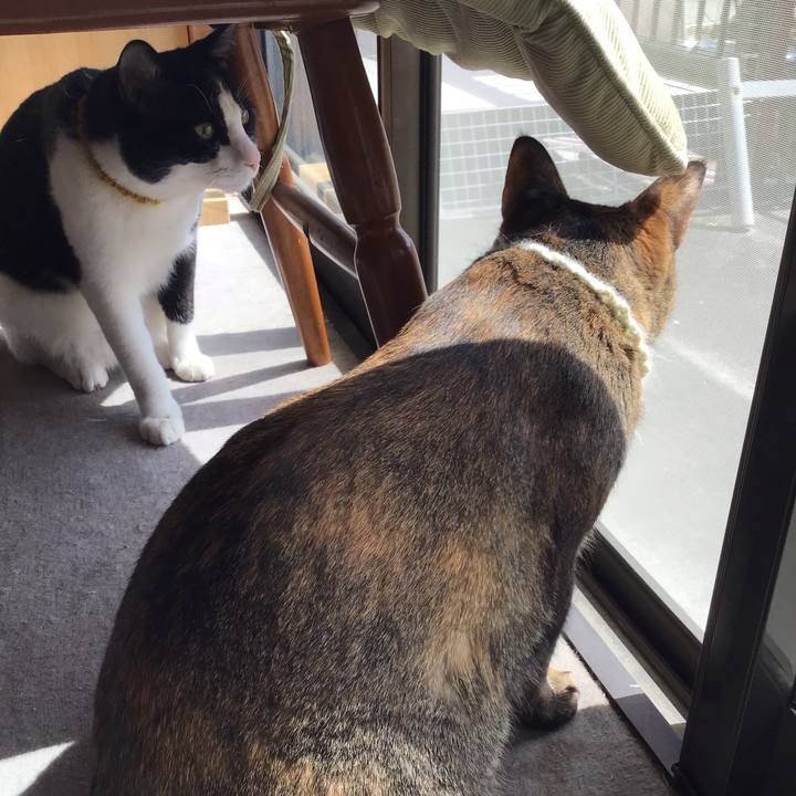 03d01bfb ddf0 478c acb9 353b244b74b3 1648445924358